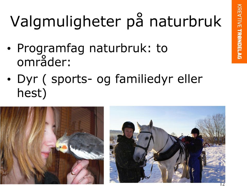 naturbruk: to områder: