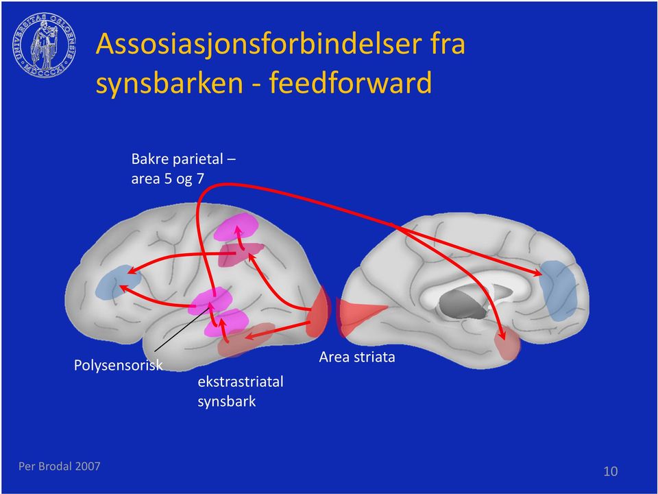 parietal area 5 og 7