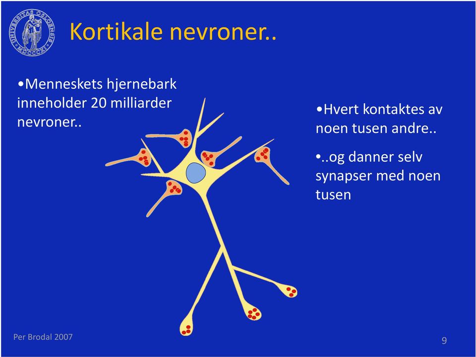 milliarder nevroner.