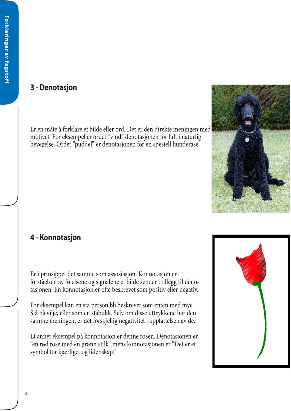 Konnotasjon er forståelsen av følelsene og signalene et bilde sender i tillegg til denotasjonen. En konnotasjon er ofte beskrevet som positiv eller negativ.