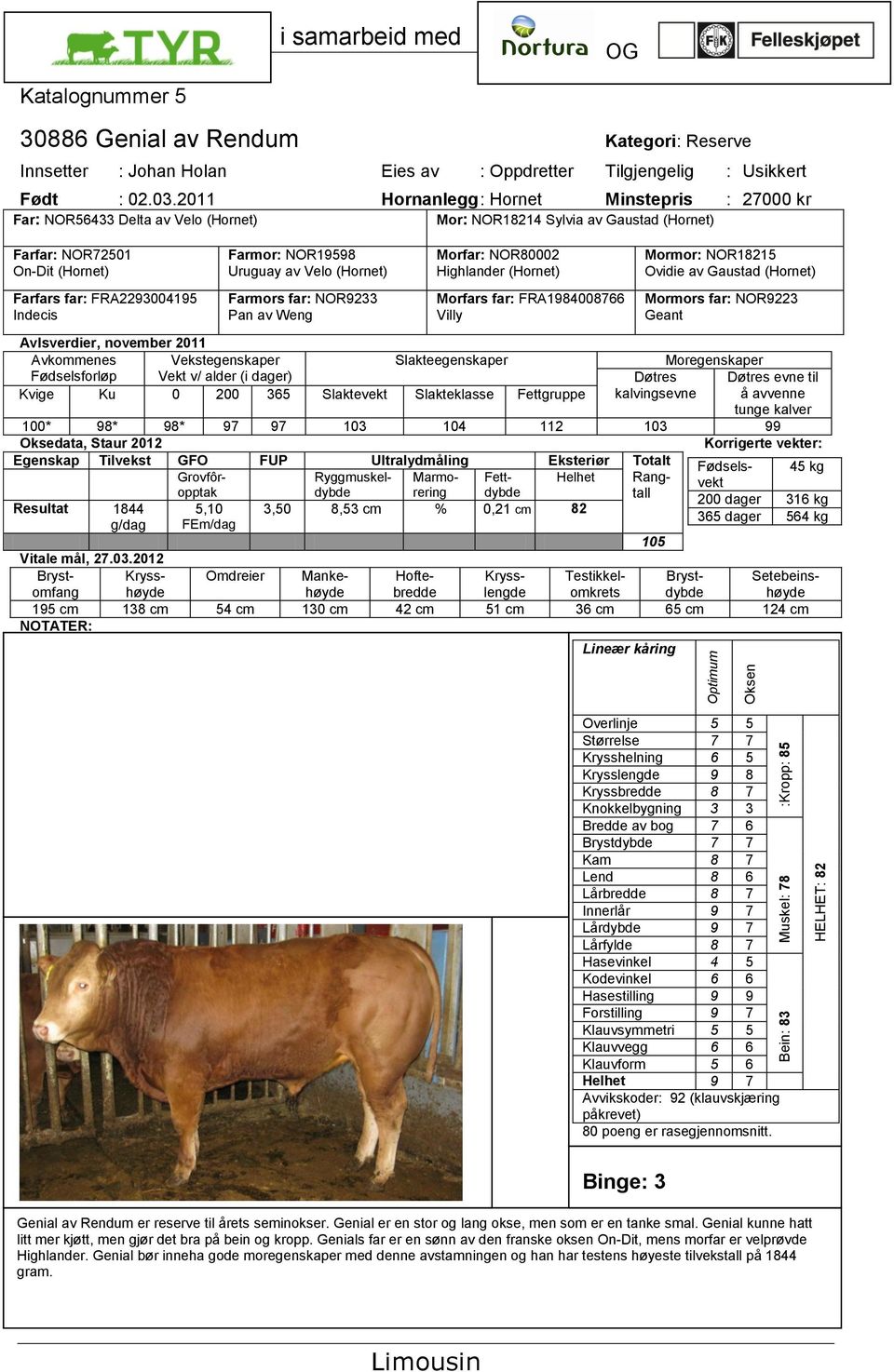 Farmor: NOR19598 Uruguay av Velo (Hornet) Farmors far: NOR9233 Pan av Weng Morfar: NOR80002 Highlander (Hornet) Morfars far: FRA1984008766 Villy Mormor: NOR18215 Ovidie av Gaustad (Hornet) Mormors