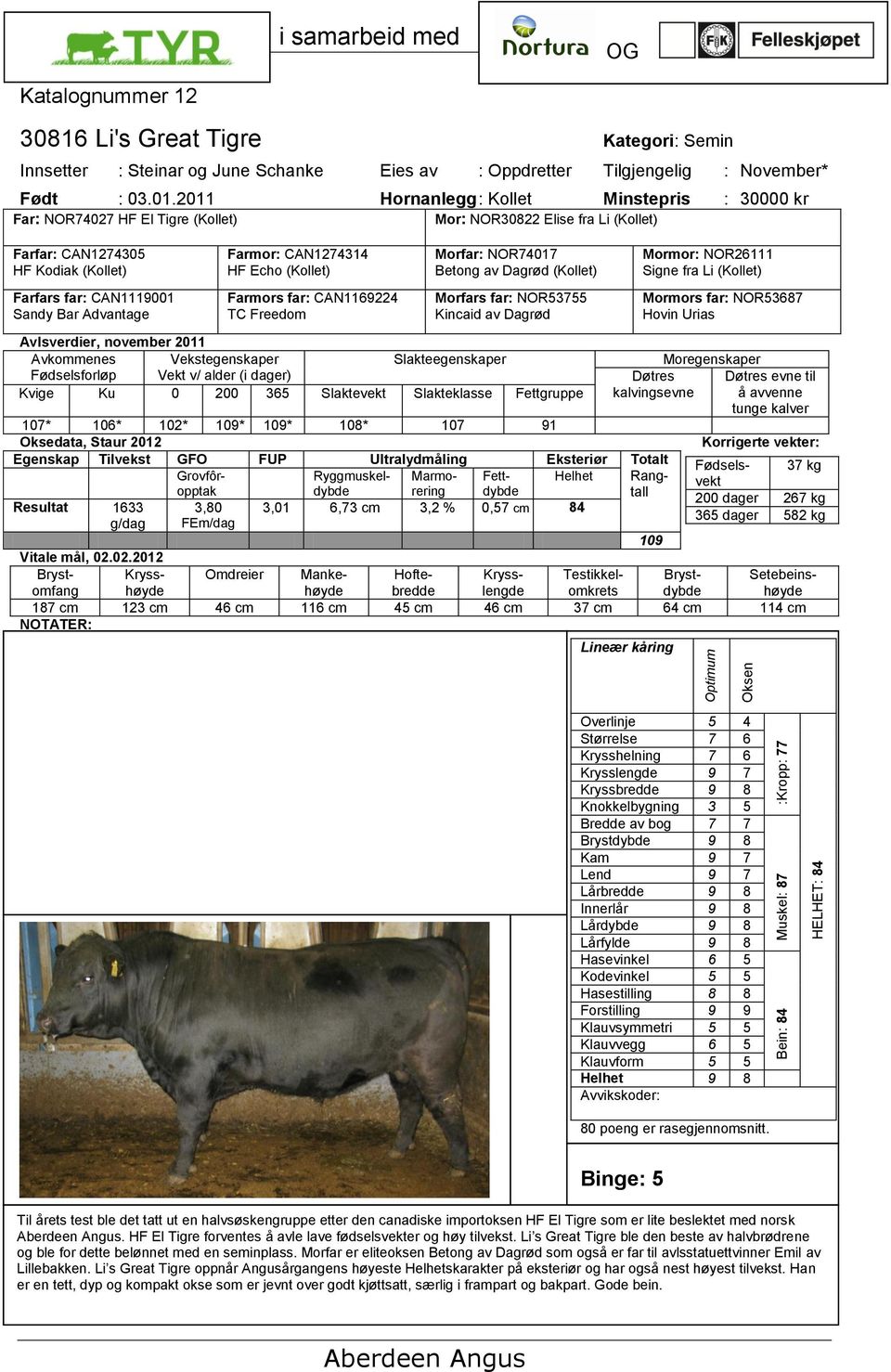 Farmor: CAN1274314 HF Echo (Kollet) Farmors far: CAN1169224 TC Freedom Morfar: NOR74017 Betong av Dagrød (Kollet) Morfars far: NOR53755 Kincaid av Dagrød Mormor: NOR26111 Signe fra Li (Kollet)