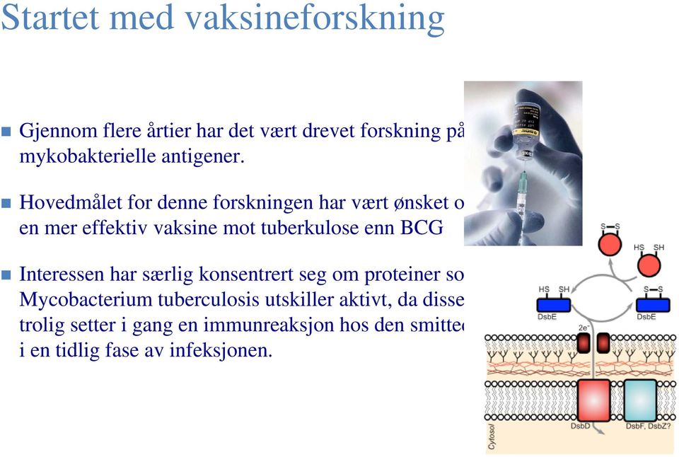 Hovedmålet for denne forskningen har vært ønsket om en mer effektiv vaksine mot tuberkulose enn BCG