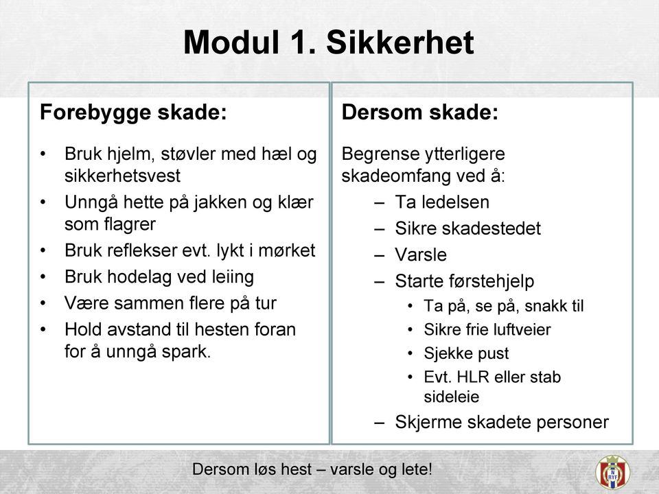 reflekser evt. lykt i mørket Bruk hodelag ved leiing Være sammen flere på tur Hold avstand til hesten foran for å unngå spark.