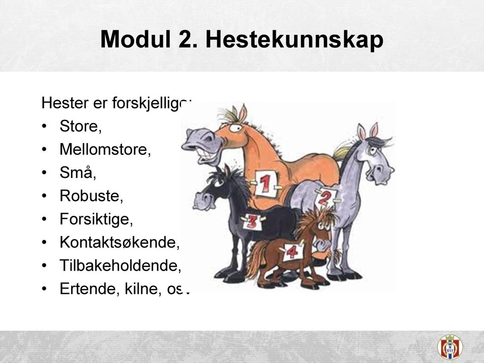 forskjellige: Store, Mellomstore,