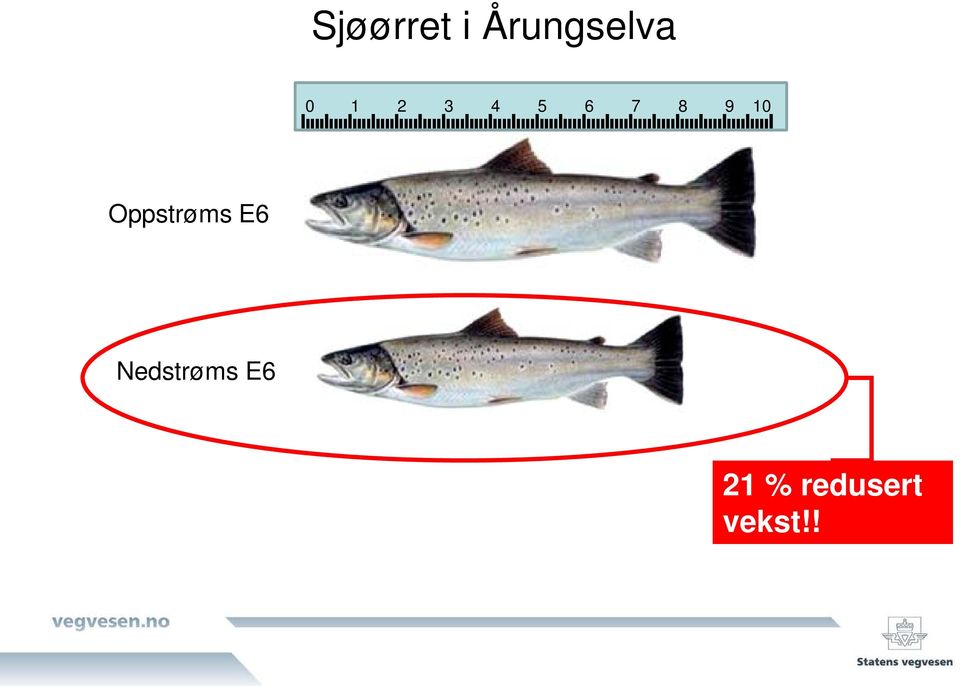 Oppstrøms E6 Nedstrøms