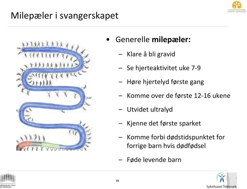 første 12-16 ukene Utvidet ultralyd Kjenne det første sparket Komme