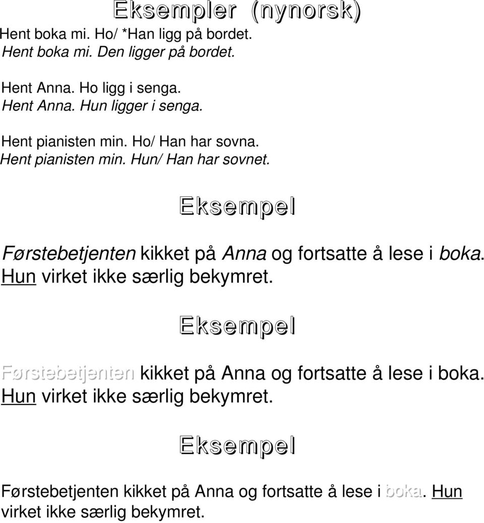 Førstebetjenten kikket på Anna og fortsatte å lese i boka. Hun virket ikke særlig bekymret.