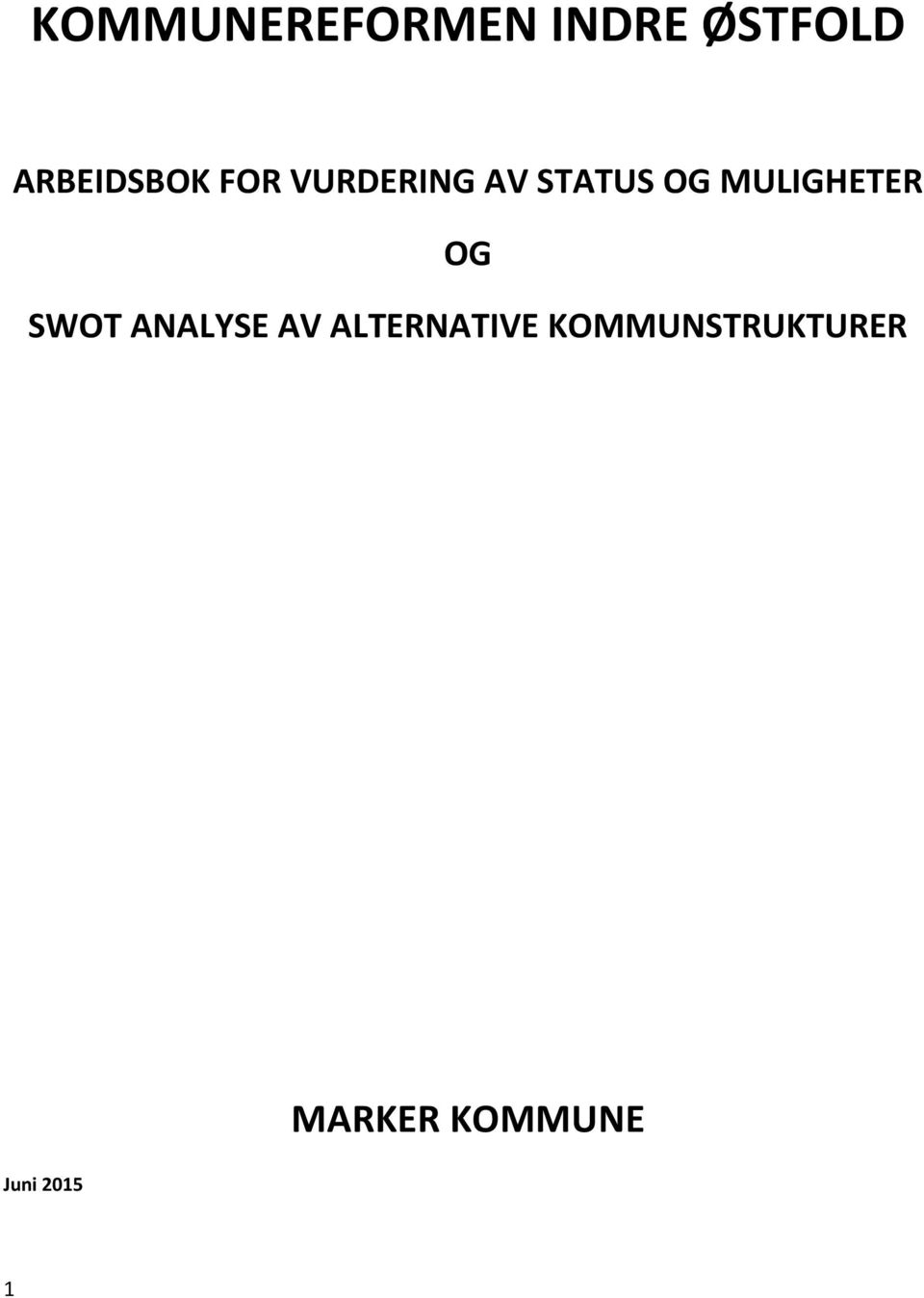 MULIGHETER OG SWOT ANALYSE AV