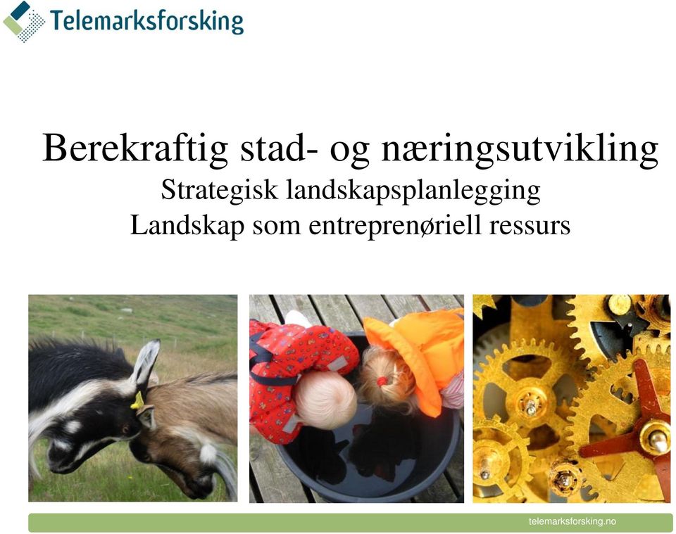 landskapsplanlegging Landskap