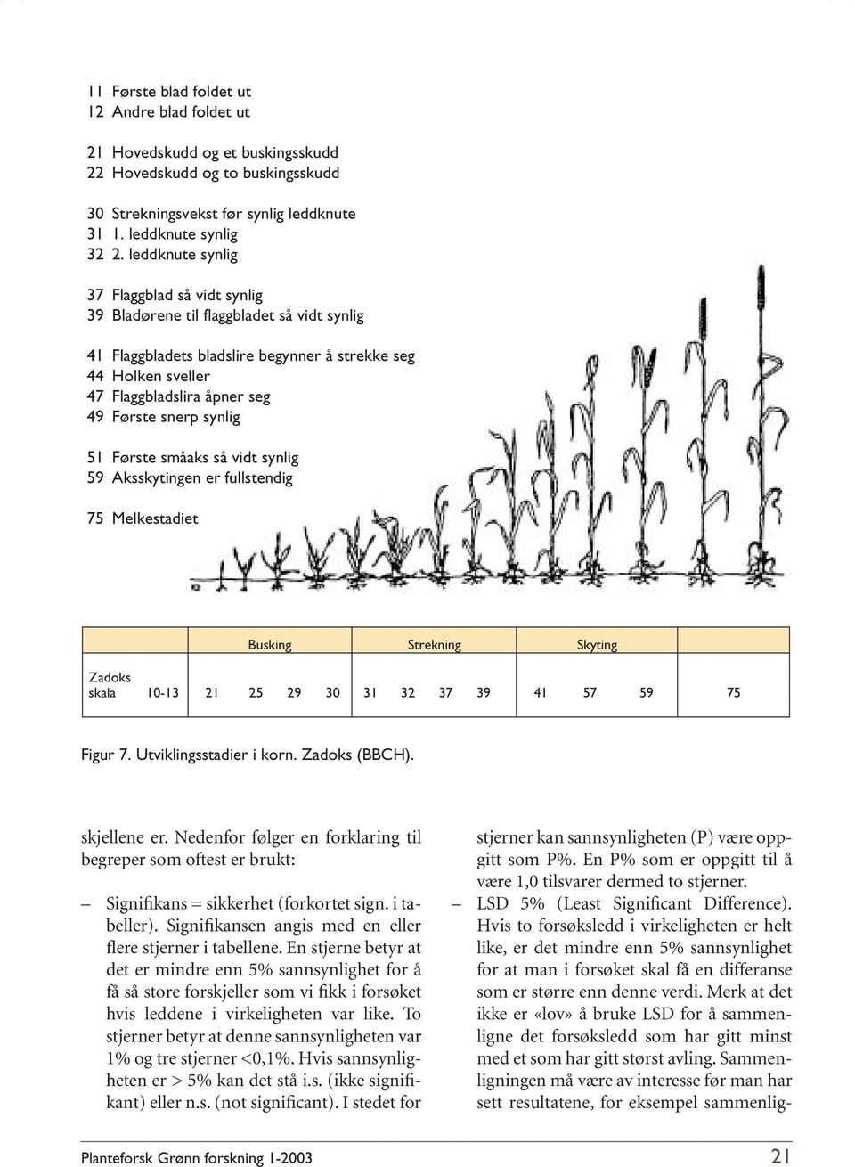 synlig 51 Første småaks så vidt synlig 59 Aksskytingen er fullstendig 75 Melkestadiet Busking Strekning Skyting Zadoks skala 10-13 21 25 29 30 31 32 37 39 41 57 59 75 Figur 7.