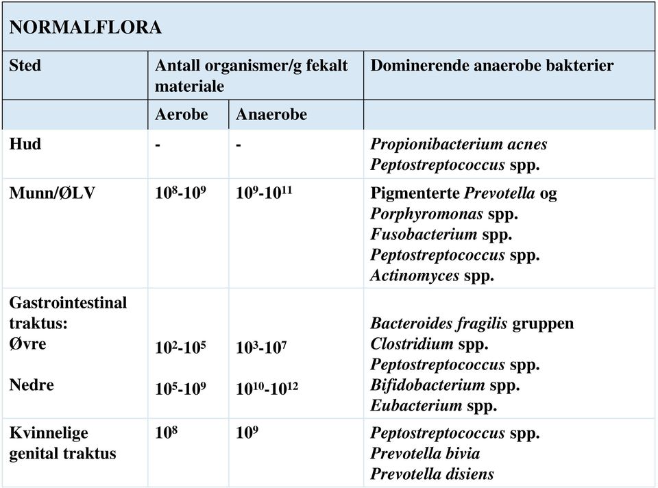 Actinomyces spp.