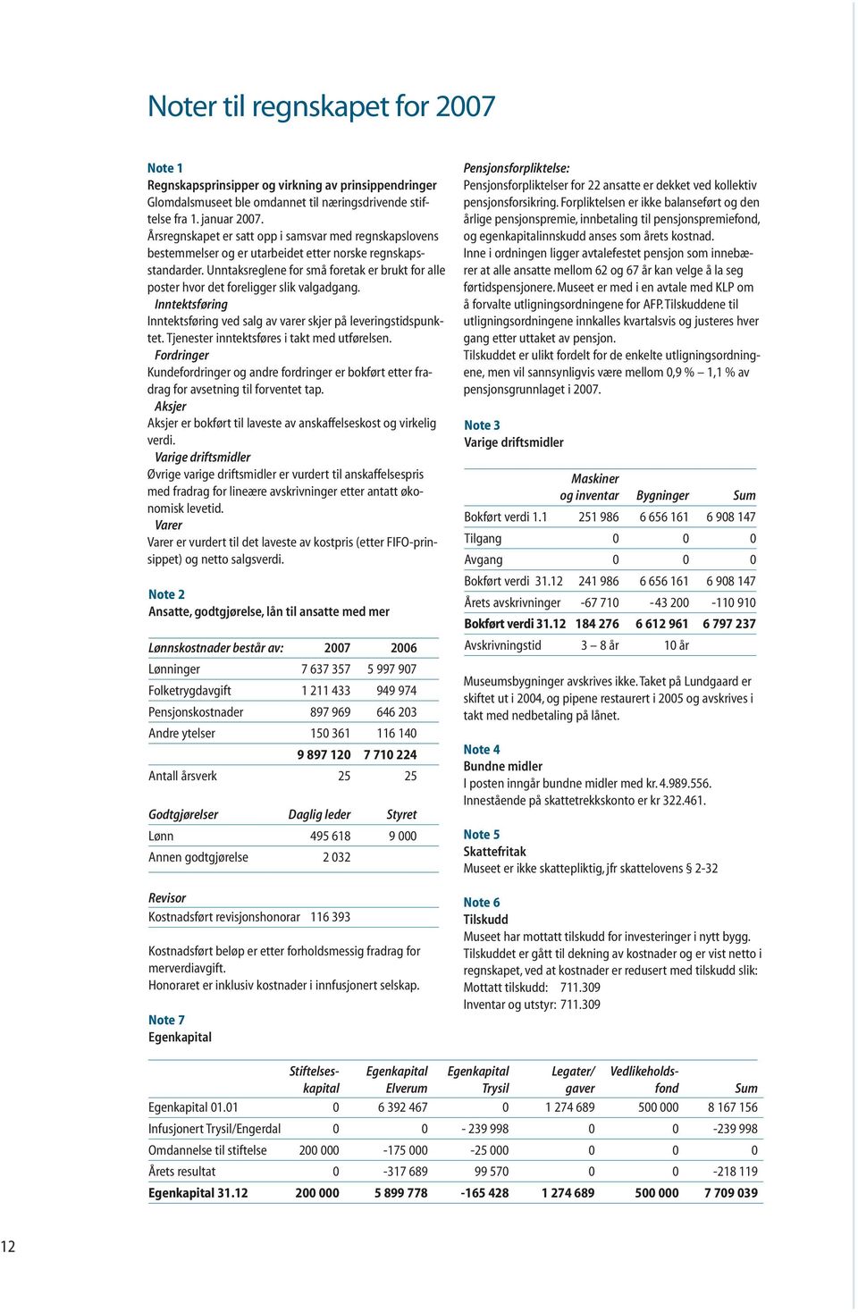 Unntaksreglene for små foretak er brukt for alle poster hvor det foreligger slik valgadgang. Inntektsføring Inntektsføring ved salg av varer skjer på leveringstidspunktet.