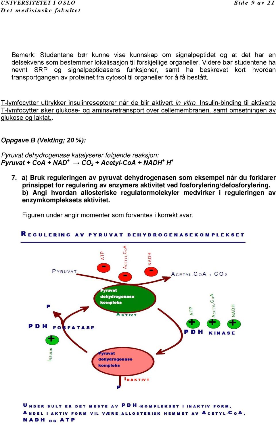 T-lymfocytter uttrykker insulinreseptorer når de blir aktivert in vitro.