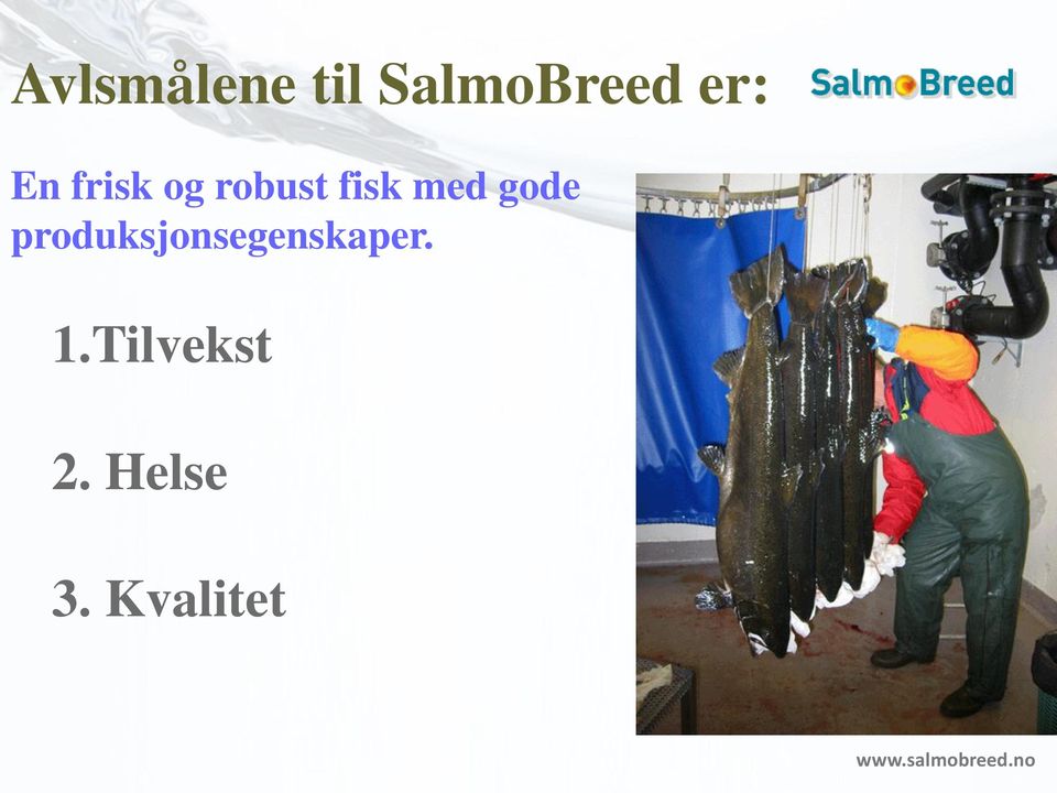 gode produksjonsegenskaper. 1.