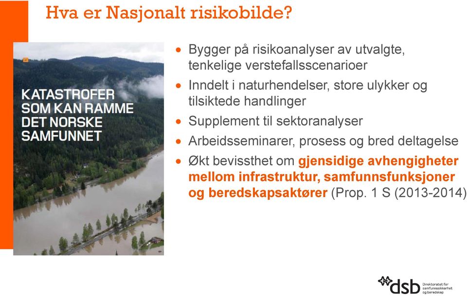 naturhendelser, store ulykker og tilsiktede handlinger Supplement til sektoranalyser