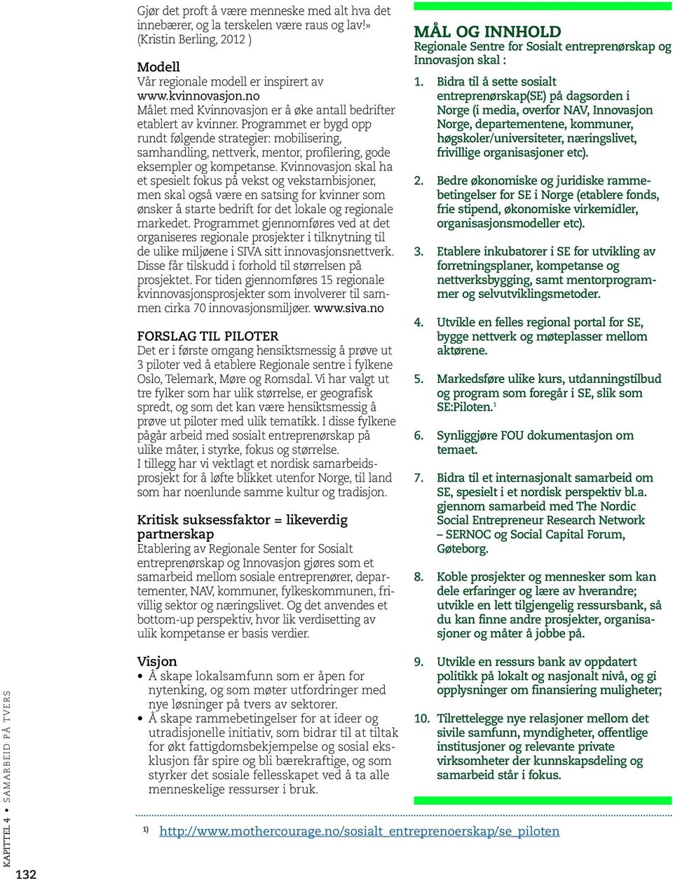 Programmet er bygd opp rundt følgende strategier: mobilisering, samhandling, nettverk, mentor, profilering, gode eksempler og kompetanse.