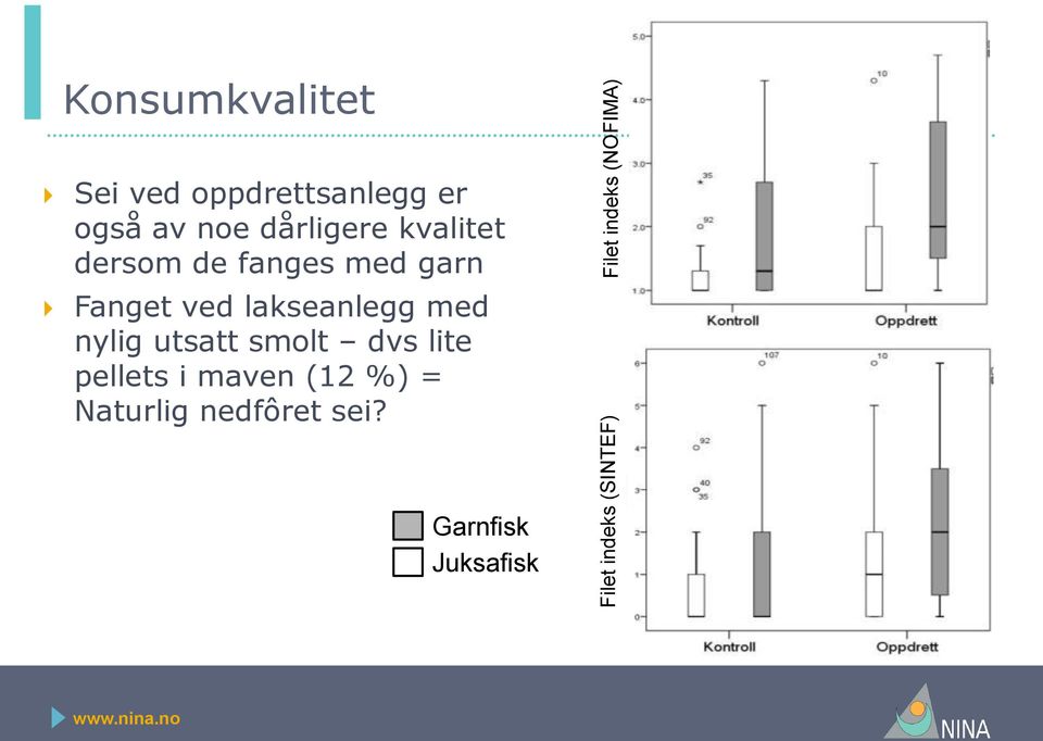 fanges med garn Fanget ved lakseanlegg med nylig utsatt smolt dvs