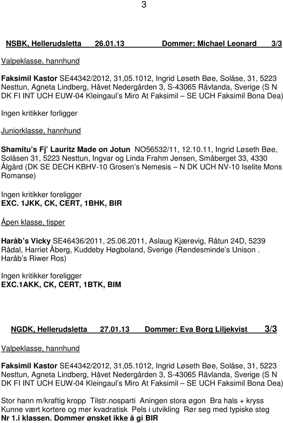 Ingen kritikker forligger Juniorklasse, hannhund Shamitu s Fj Lauritz Made on Jotun NO56532/11, 12.10.