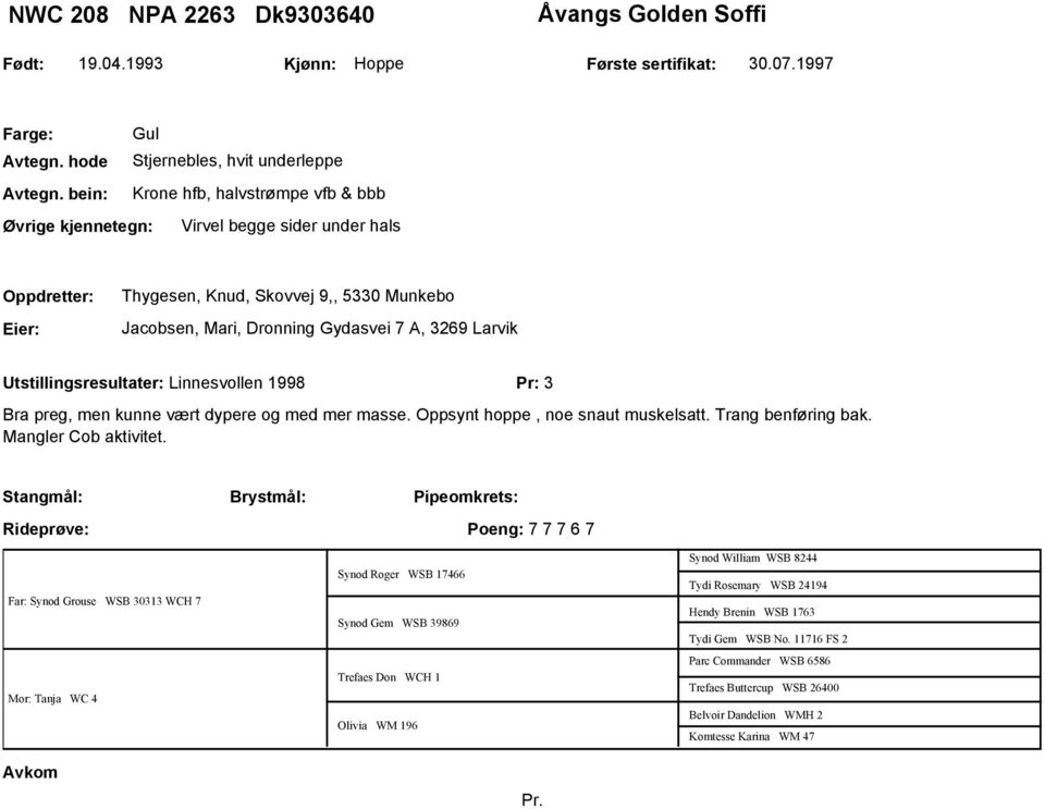 Utstillingsresultater: Linnesvollen 1998 Pr: 3 Bra preg, men kunne vært dypere og med mer masse. Oppsynt hoppe, noe snaut muskelsatt. Trang benføring bak. Mangler Cob aktivitet.