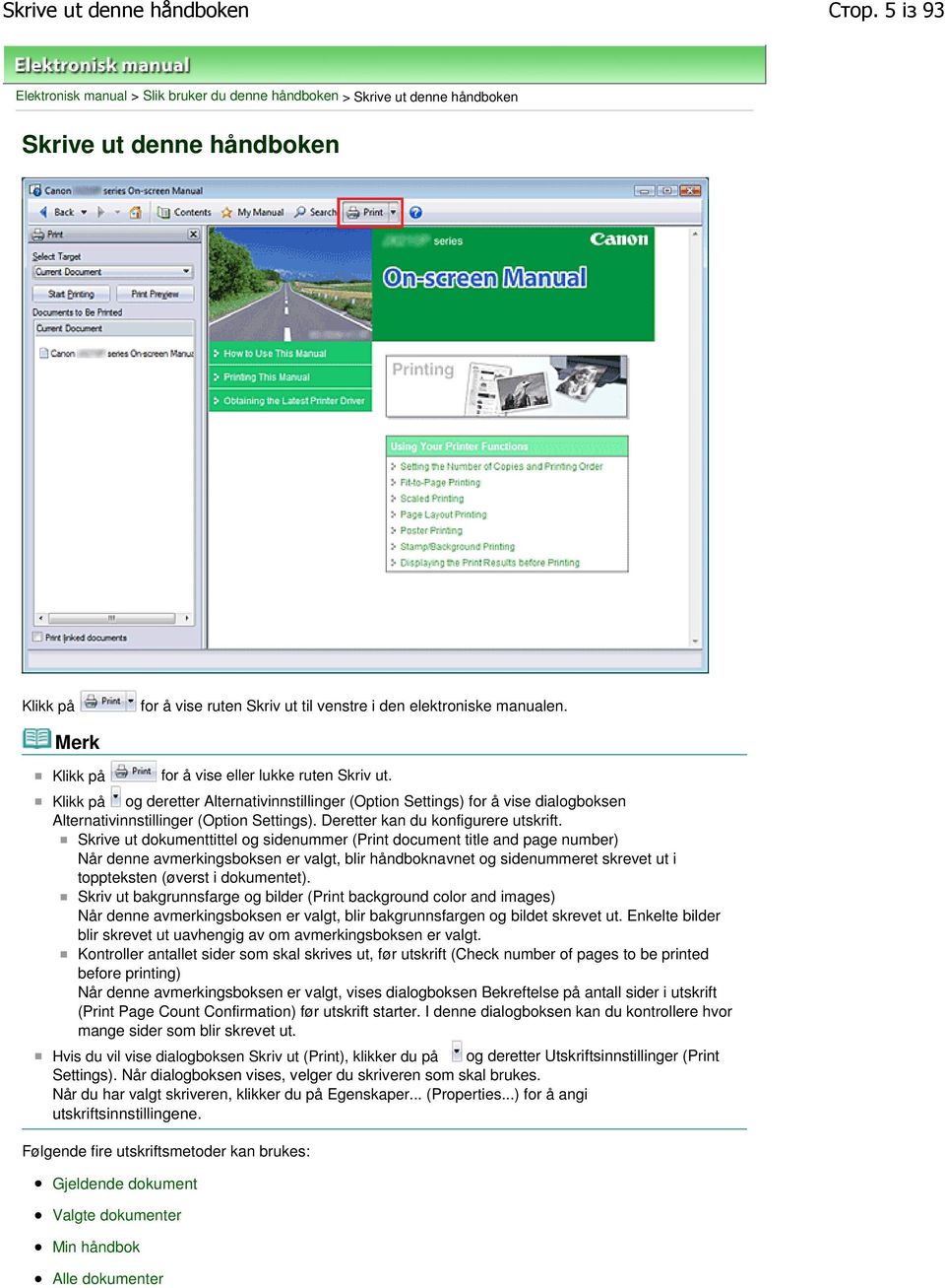 Merk Klikk på for å vise eller lukke ruten Skriv ut. Klikk på og deretter Alternativinnstillinger (Option Settings) for å vise dialogboksen Alternativinnstillinger (Option Settings).