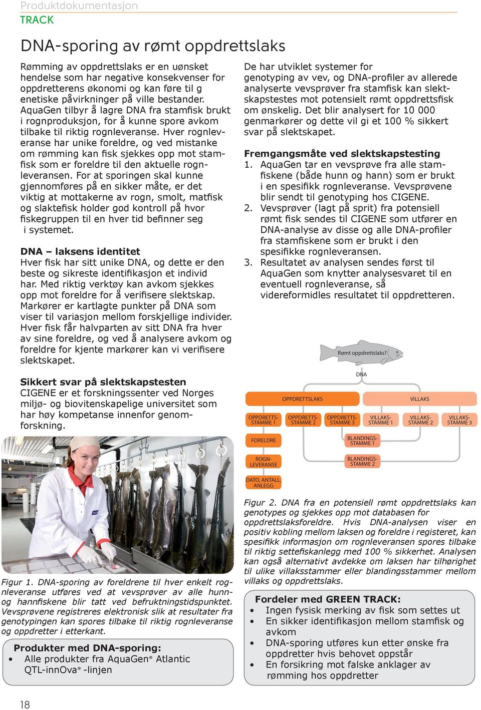 Hver rognleveranse har unike foreldre, og ved mistanke om rømming kan fisk sjekkes opp mot stamfisk som er foreldre til den aktuelle rognleveransen.