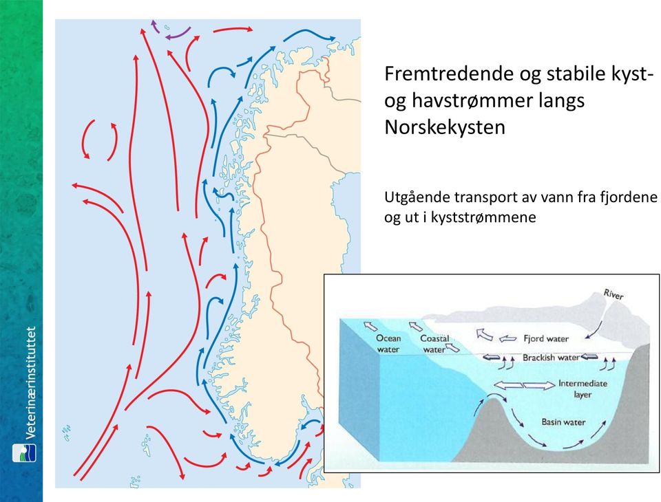 Utgående transport av vann fra