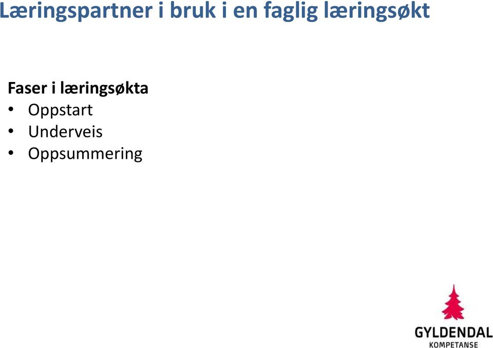 Faser i læringsøkta