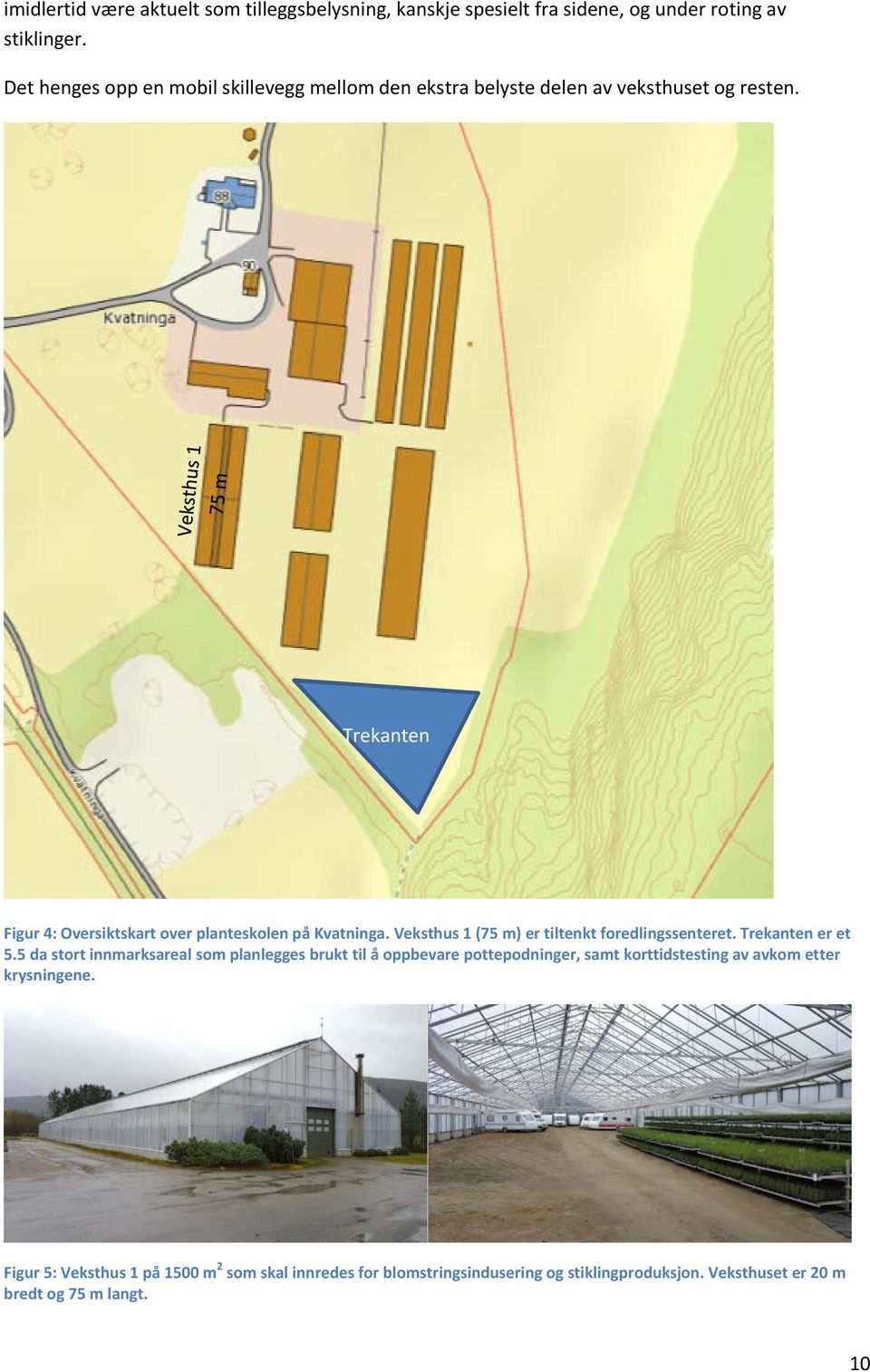 Trekanten Figur 4: Oversiktskart over planteskolen på Kvatninga. Veksthus 1 (75 m) er tiltenkt foredlingssenteret. Trekanten er et 5.