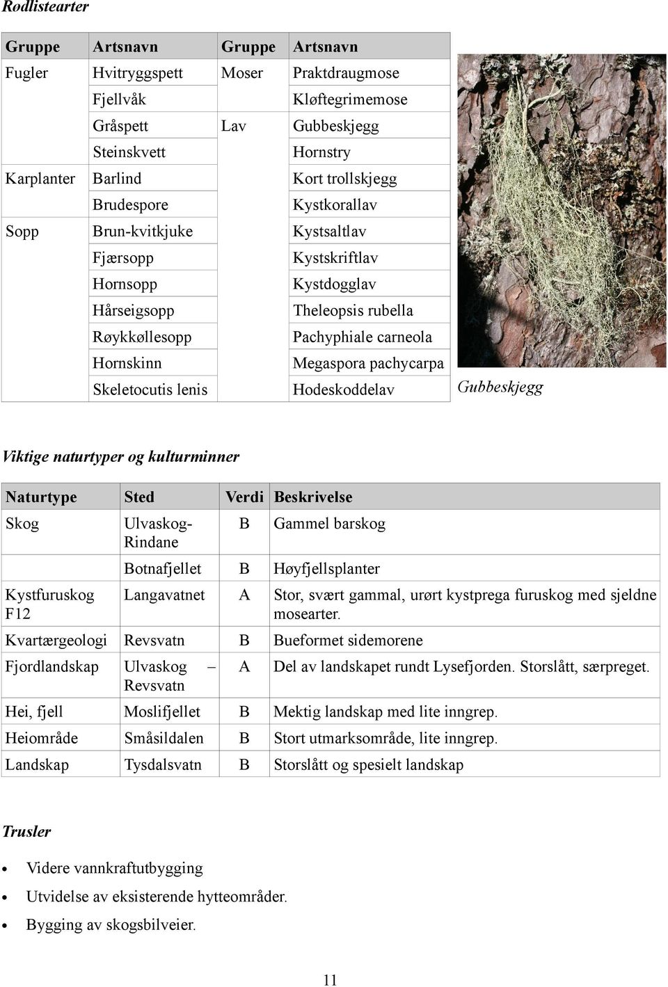 Skeletocutis lenis Hodeskoddelav Gubbeskjegg Viktige naturtyper og kulturminner Naturtype Sted Skog UlvaskogRindane Gammel barskog otnafjellet Høyfjellsplanter Langavatnet A Stor, svært gammal, urørt