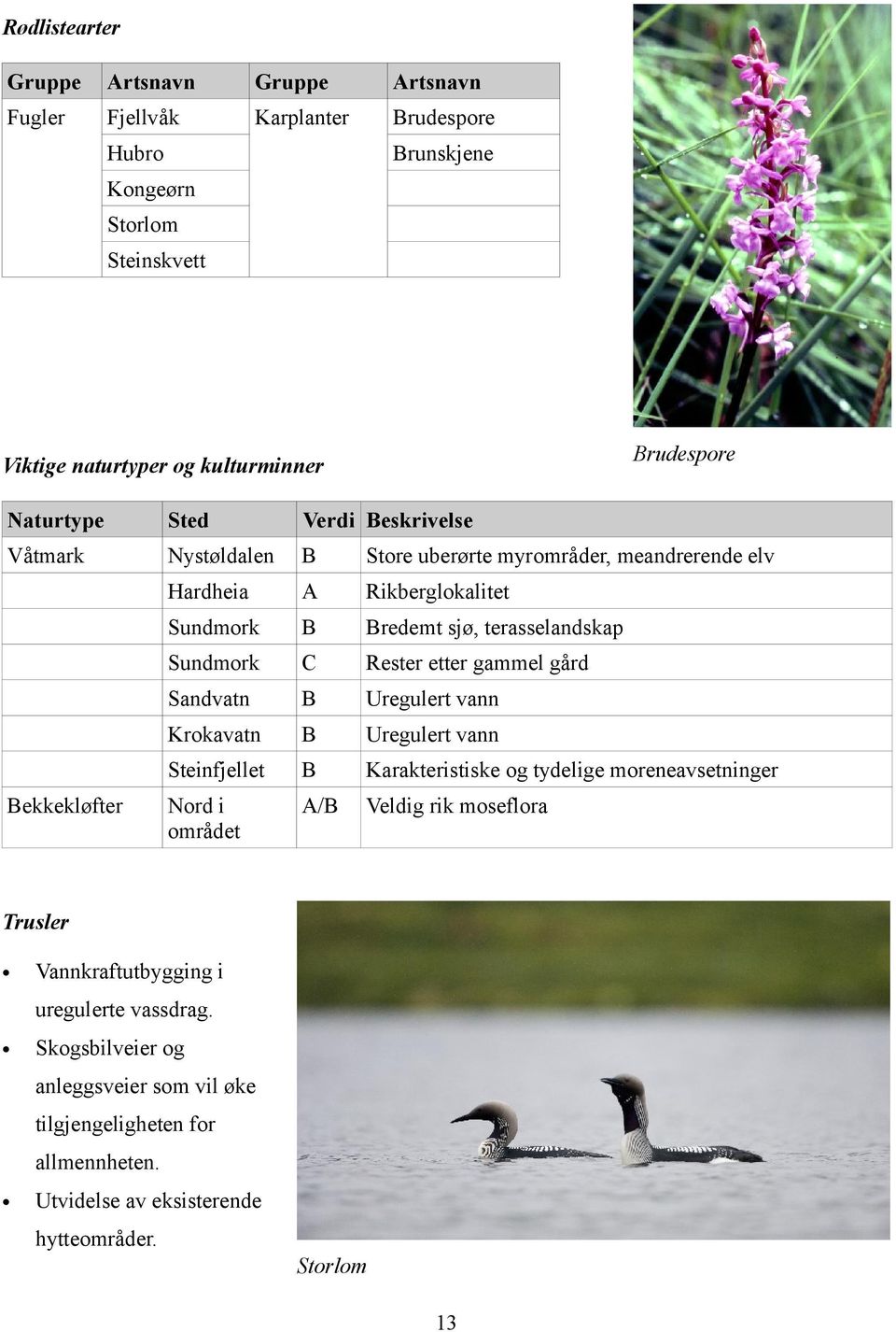 Rester etter gammel gård Sandvatn Uregulert vann Krokavatn Uregulert vann Steinfjellet Karakteristiske og tydelige moreneavsetninger Nord i området A/ Veldig rik moseflora