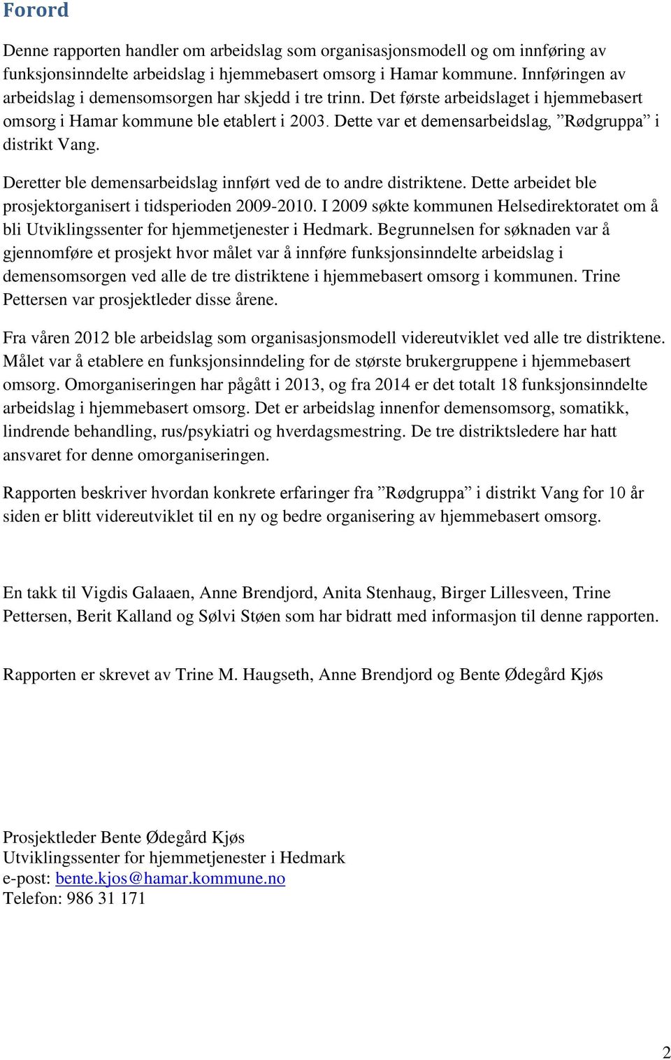 Dette var et demensarbeidslag, Rødgruppa i distrikt Vang. Deretter ble demensarbeidslag innført ved de to andre distriktene. Dette arbeidet ble prosjektorganisert i tidsperioden 2009-2010.