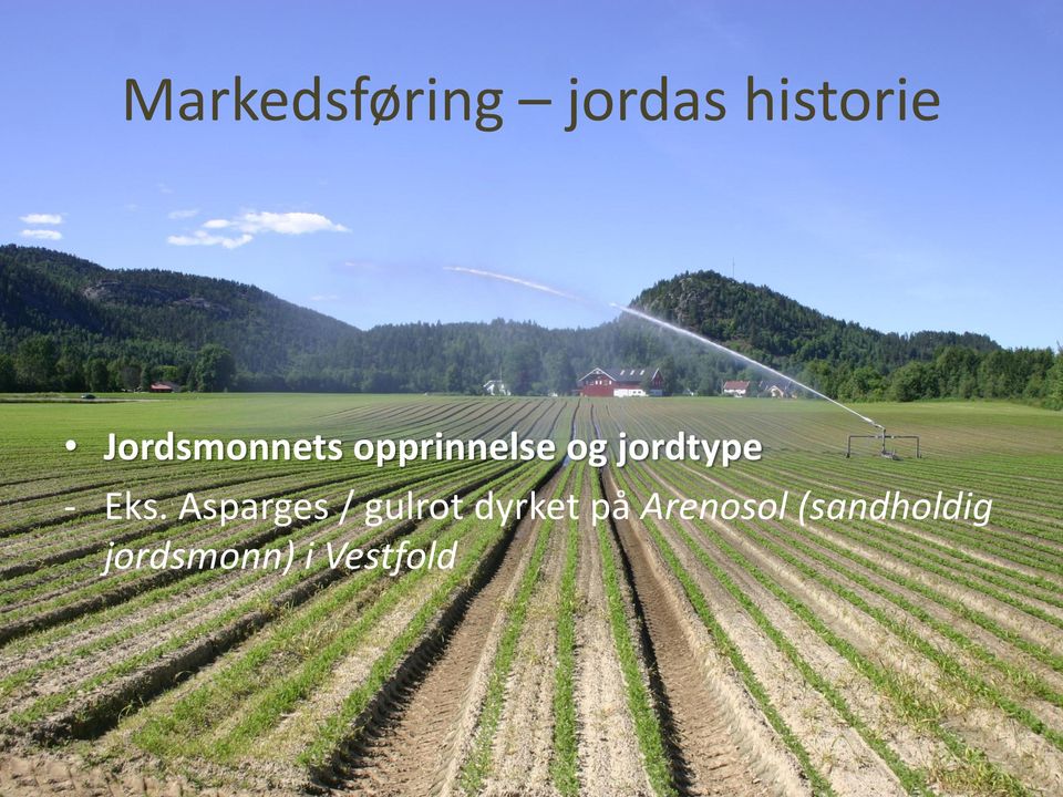 jordtype - Eks.