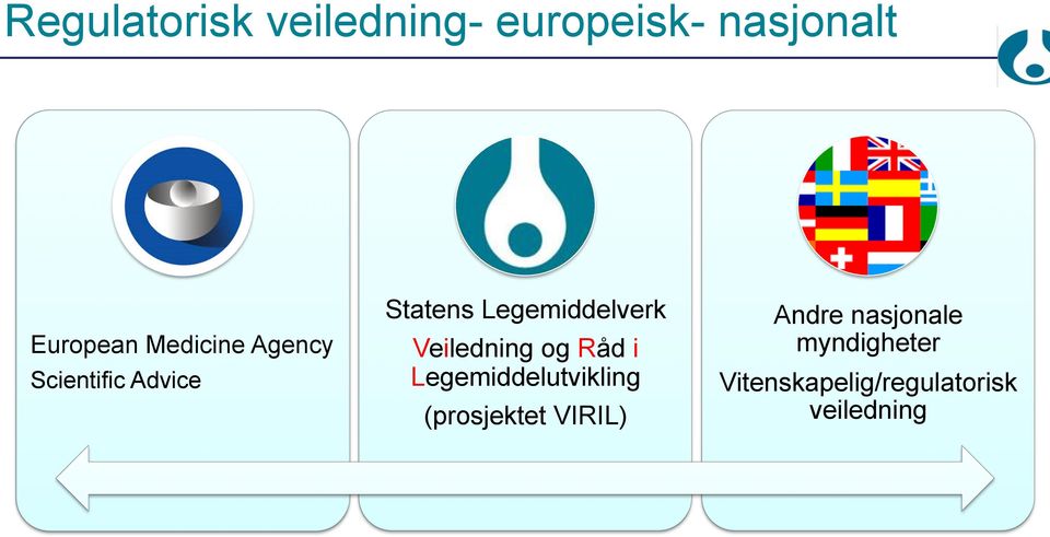 Veiledning og Råd i Legemiddelutvikling (prosjektet VIRIL)