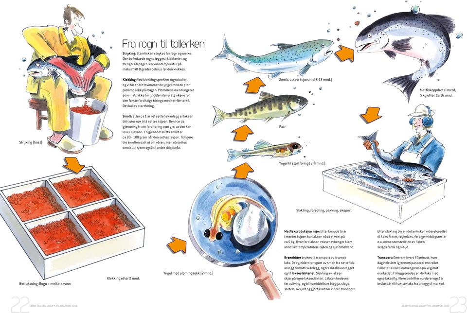 Plommesekken fungerer som matpakke for yngelen de første ukene før den første forsiktige fôringa med tørrfôr tar til. Det kalles startfôring. Smolt, utsett i sjøvann (8-12 mnd.