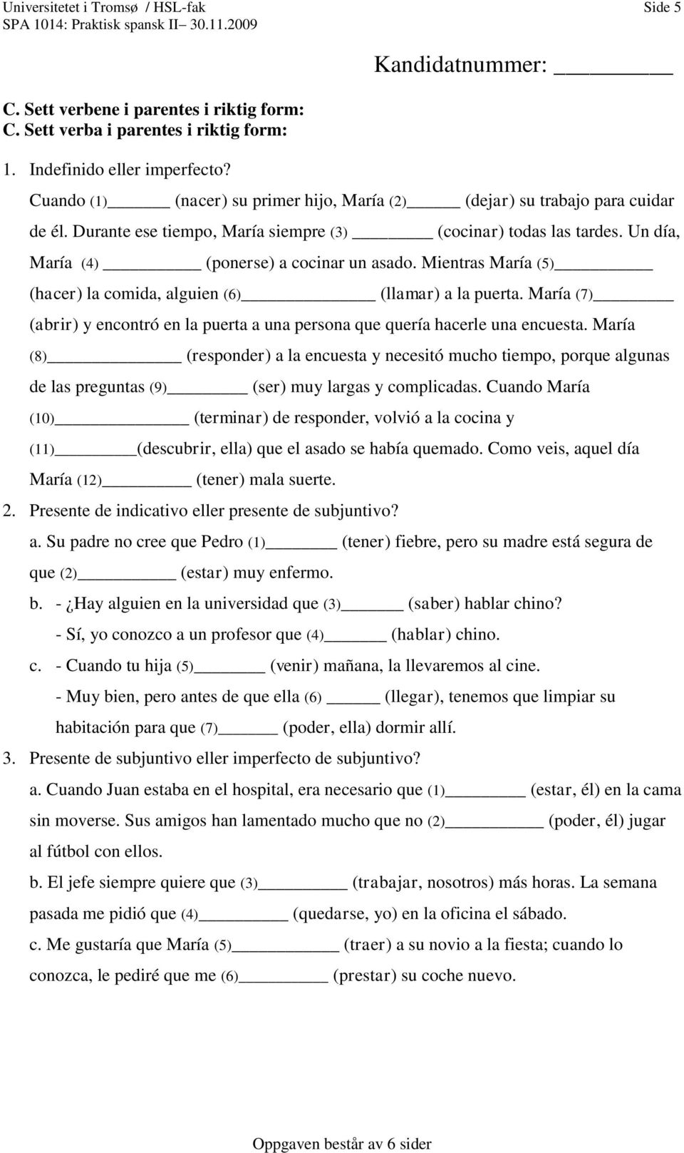 Mientras María (5) (hacer) la comida, alguien (6) (llamar) a la puerta. María (7) (abrir) y encontró en la puerta a una persona que quería hacerle una encuesta.