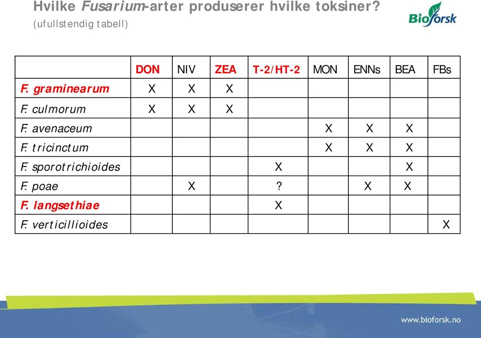 graminearum X X X F. culmorum X X X F. avenaceum X X X F.