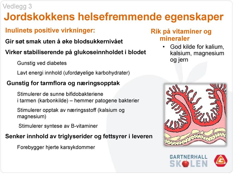 bifidobakteriene i tarmen (karbonkilde) hemmer patogene bakterier Stimulerer opptak av næringsstoff (kalsium og magnesium) Stimulerer syntese av