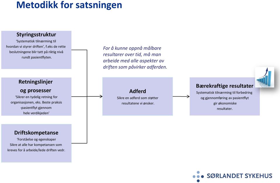 Retningslinjer og prosesser Sikrer en tydelig retning for organisasjonen, eks.