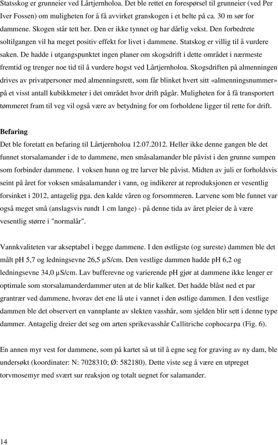 De hadde i utgangspunktet ingen planer om skogsdrift i dette området i nærmeste fremtid og trenger noe tid til å vurdere hogst ved Lårtjernholoa.