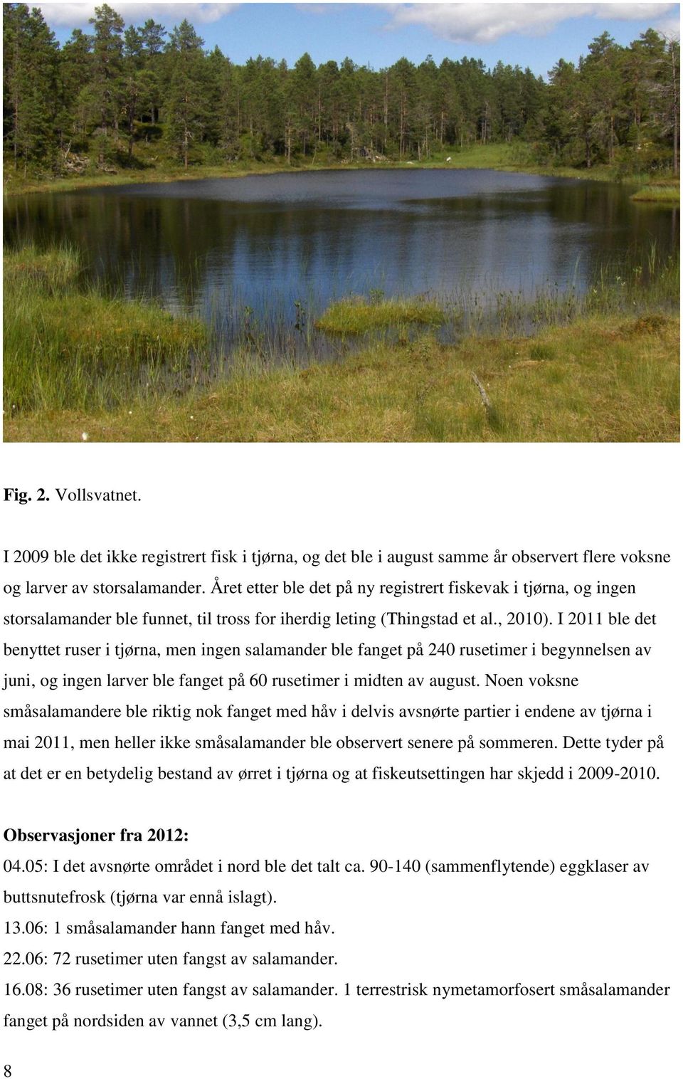 I 2011 ble det benyttet ruser i tjørna, men ingen salamander ble fanget på 240 rusetimer i begynnelsen av juni, og ingen larver ble fanget på 60 rusetimer i midten av august.