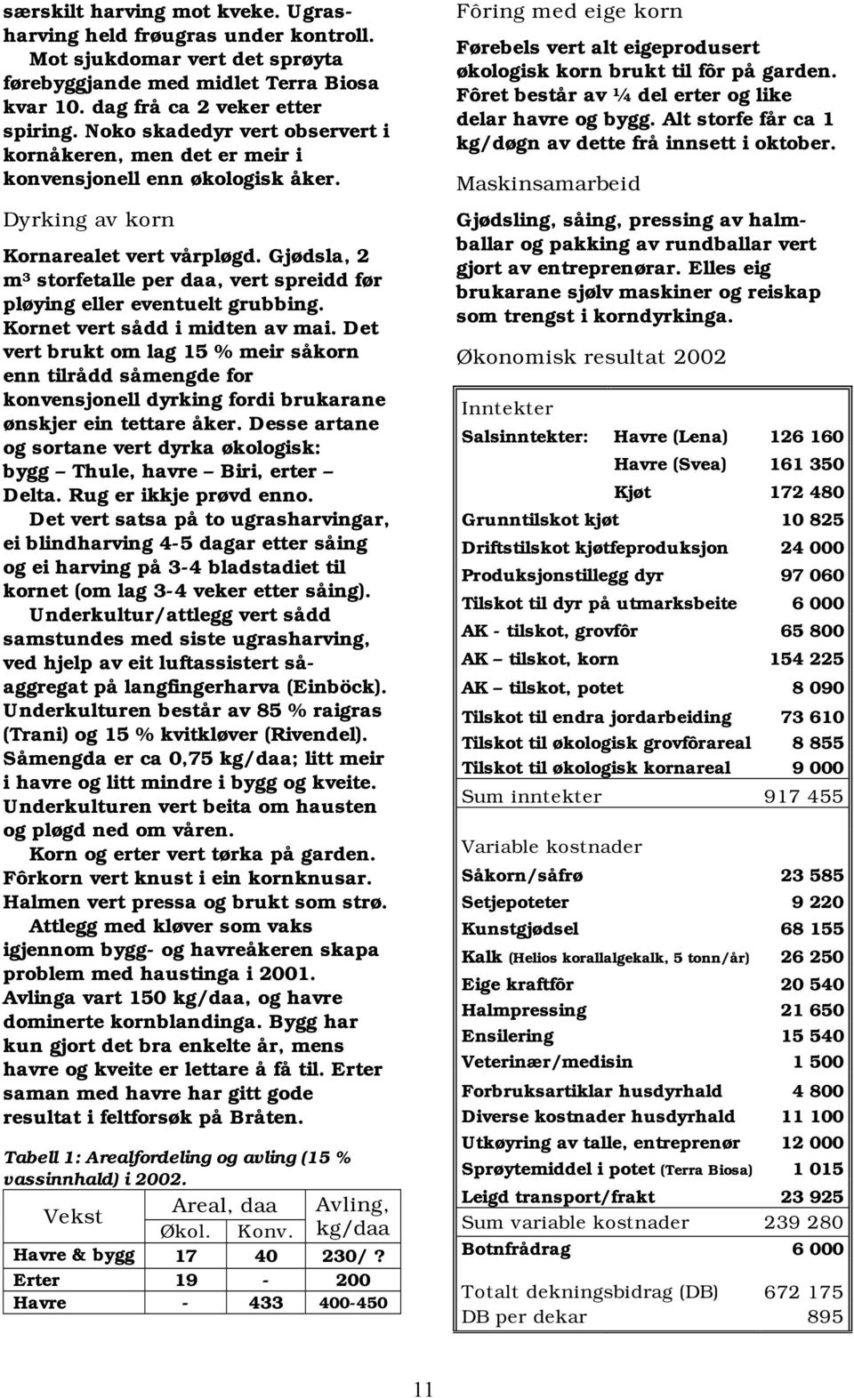 Gjødsla, 2 m 3 storfetalle per daa, vert spreidd før pløying eller eventuelt grubbing. Kornet vert sådd i midten av mai.