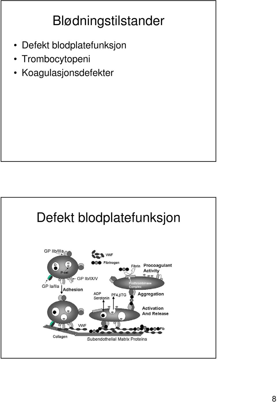 Trombocytopeni