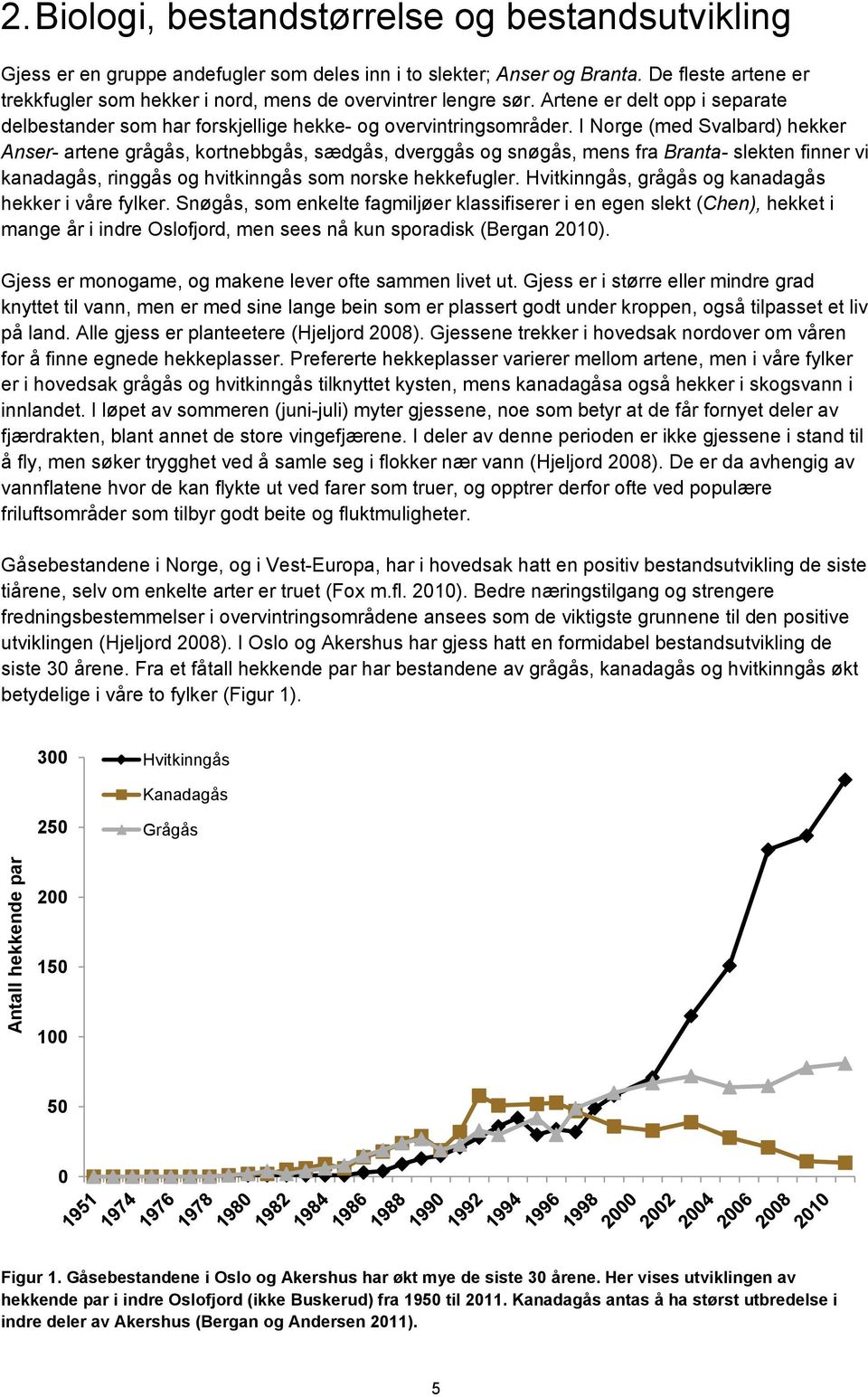 I Norge (med Svalbard) hekker Anser- artene grågås, kortnebbgås, sædgås, dverggås og snøgås, mens fra Branta- slekten finner vi kanadagås, ringgås og hvitkinngås som norske hekkefugler.