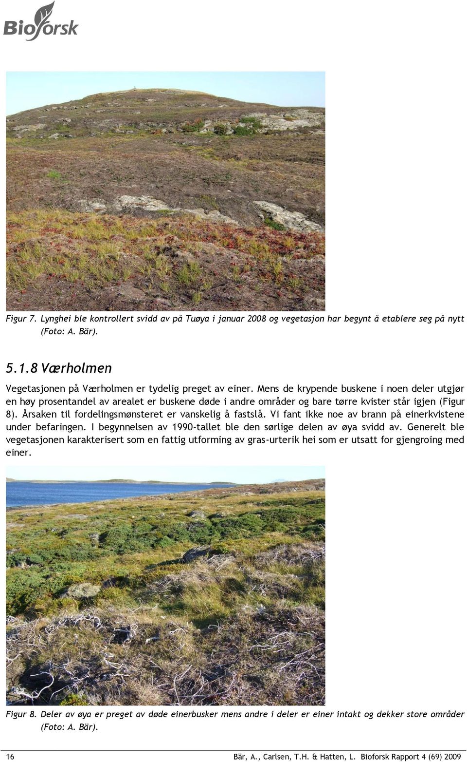 Årsaken til fordelingsmønsteret er vanskelig å fastslå. Vi fant ikke noe av brann på einerkvistene under befaringen. I begynnelsen av 1990-tallet ble den sørlige delen av øya svidd av.