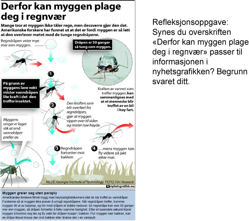 plage deg i regnvær» passer til