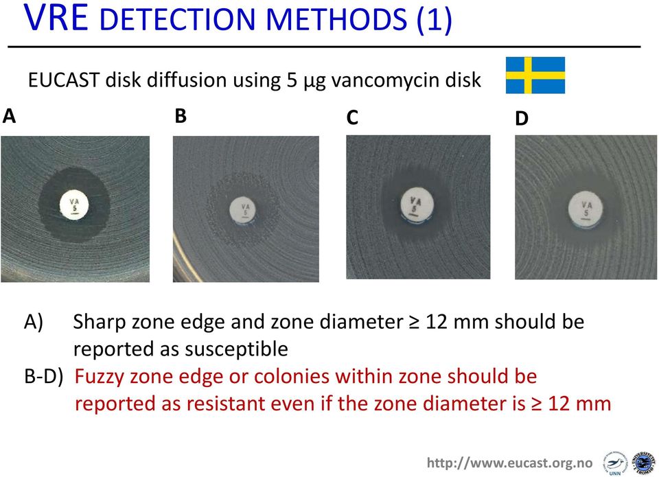 reported as susceptible B-D) Fuzzy zone edge or colonies within zone