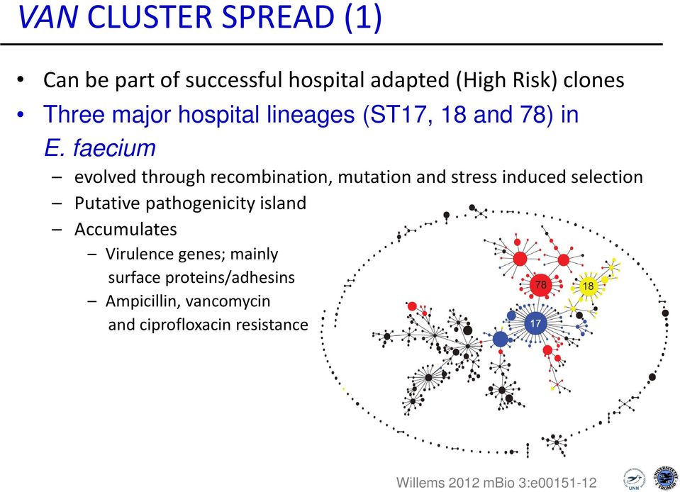 faecium evolved through recombination, mutation and stress induced selection Putative