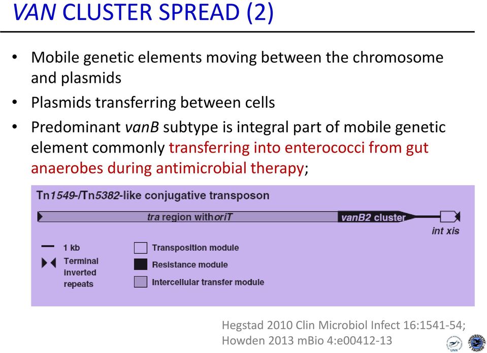 genetic element commonly transferring into enterococci from gut anaerobes during