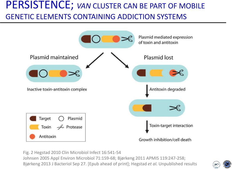 2 Hegstad 2010 Clin Microbiol Infect 16:541-54 Johnsen 2005 Appl Environ